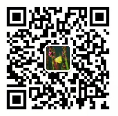 中部生態(tài)環(huán)境工程江蘇有限公司