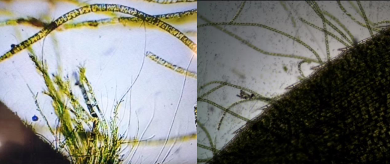 d97f4b565e98ced3ec220db90fcf72ed.png d97f4b565e98ced3ec220db90fcf72ed.png