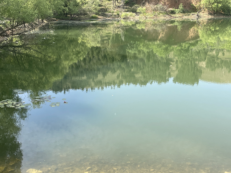 蕭縣龍城鎮(zhèn)帽山水庫