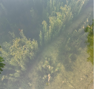 治理后照片.png 治理后照片.png